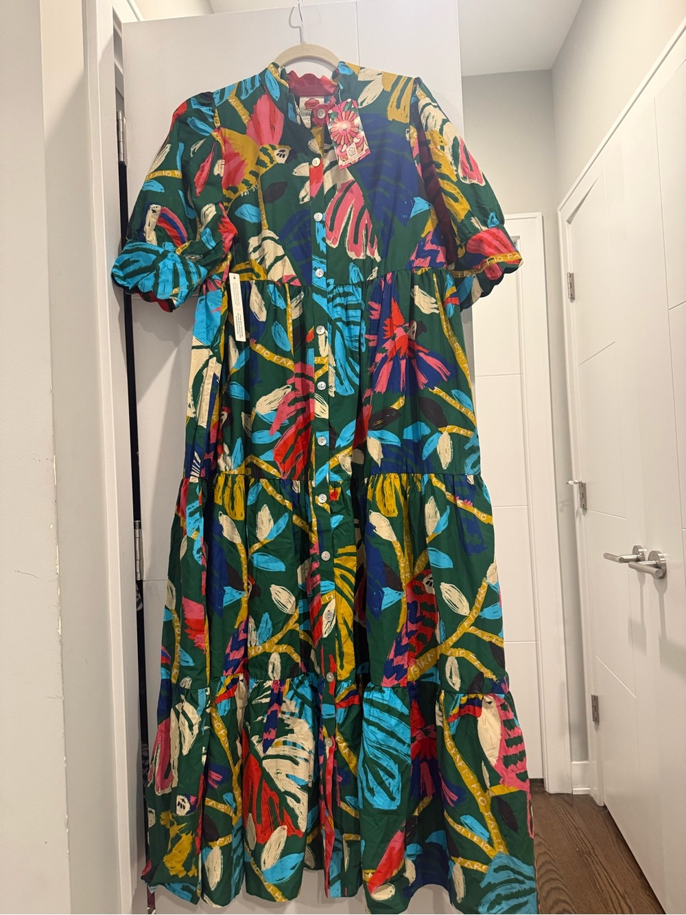 Farm Rio Anthropologie maxi dress